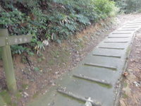 Medium_027 (2)